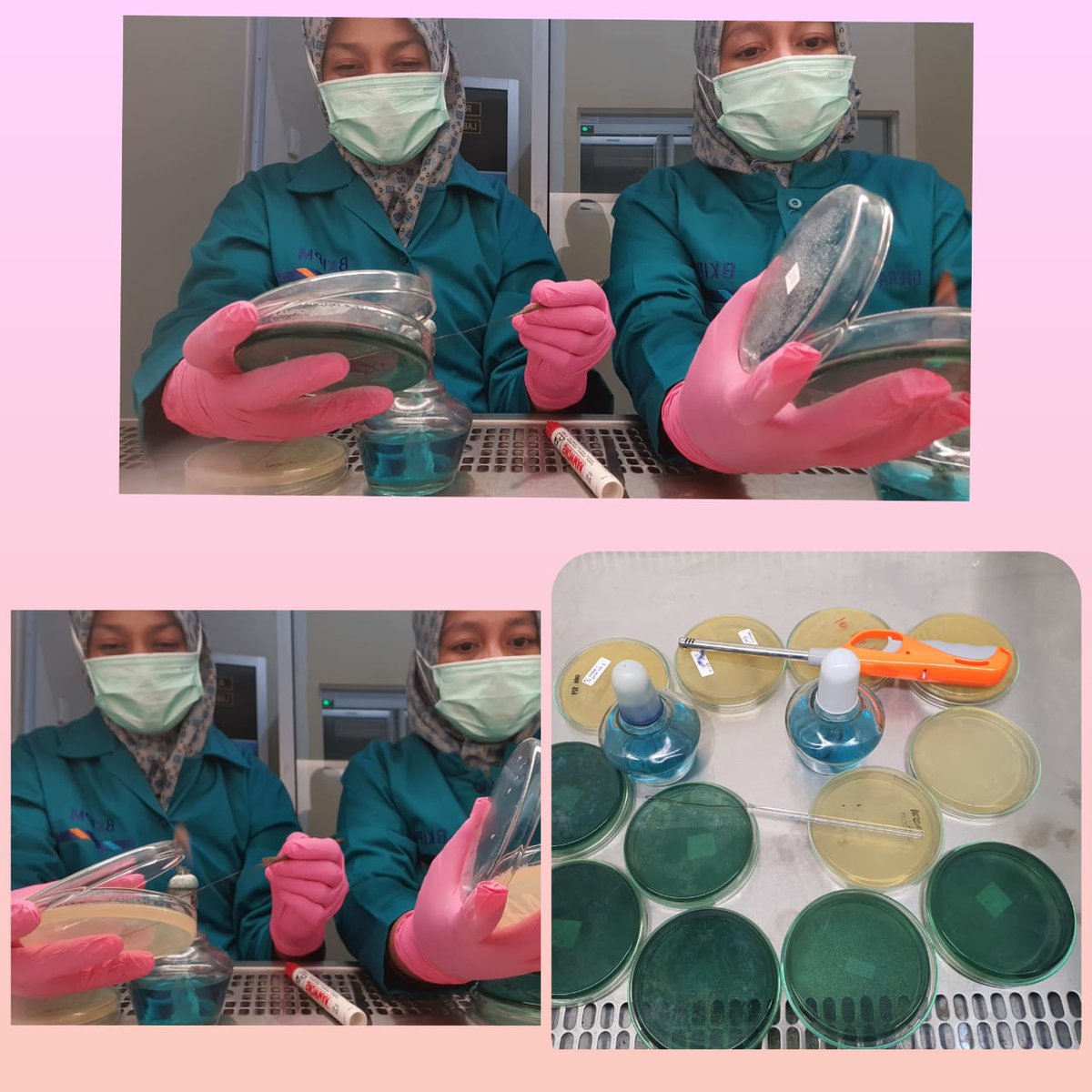 Badan Mutu KKP Pekanbaru tweet media