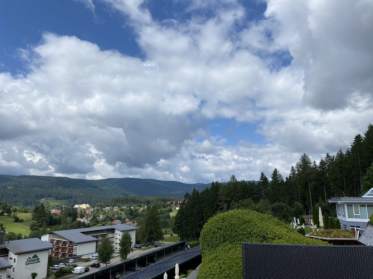 SFB1425_MakeBetterScars tweet media