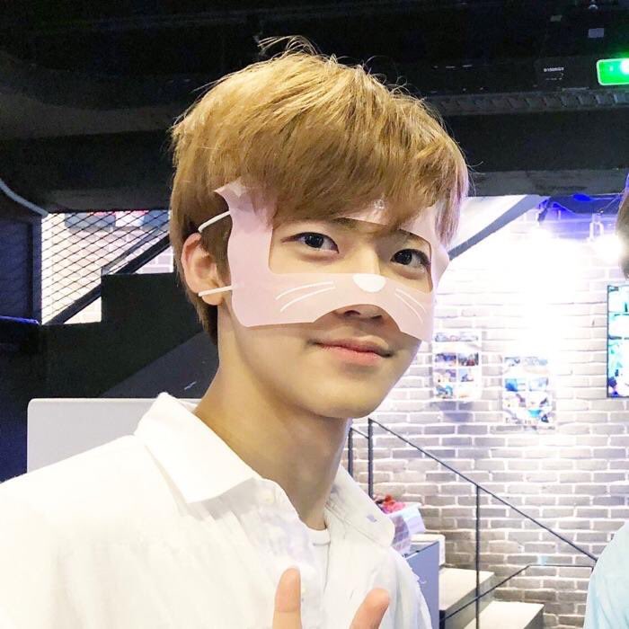 ชอบแมวมั้ย เมี้ยวๆๆๆๆ