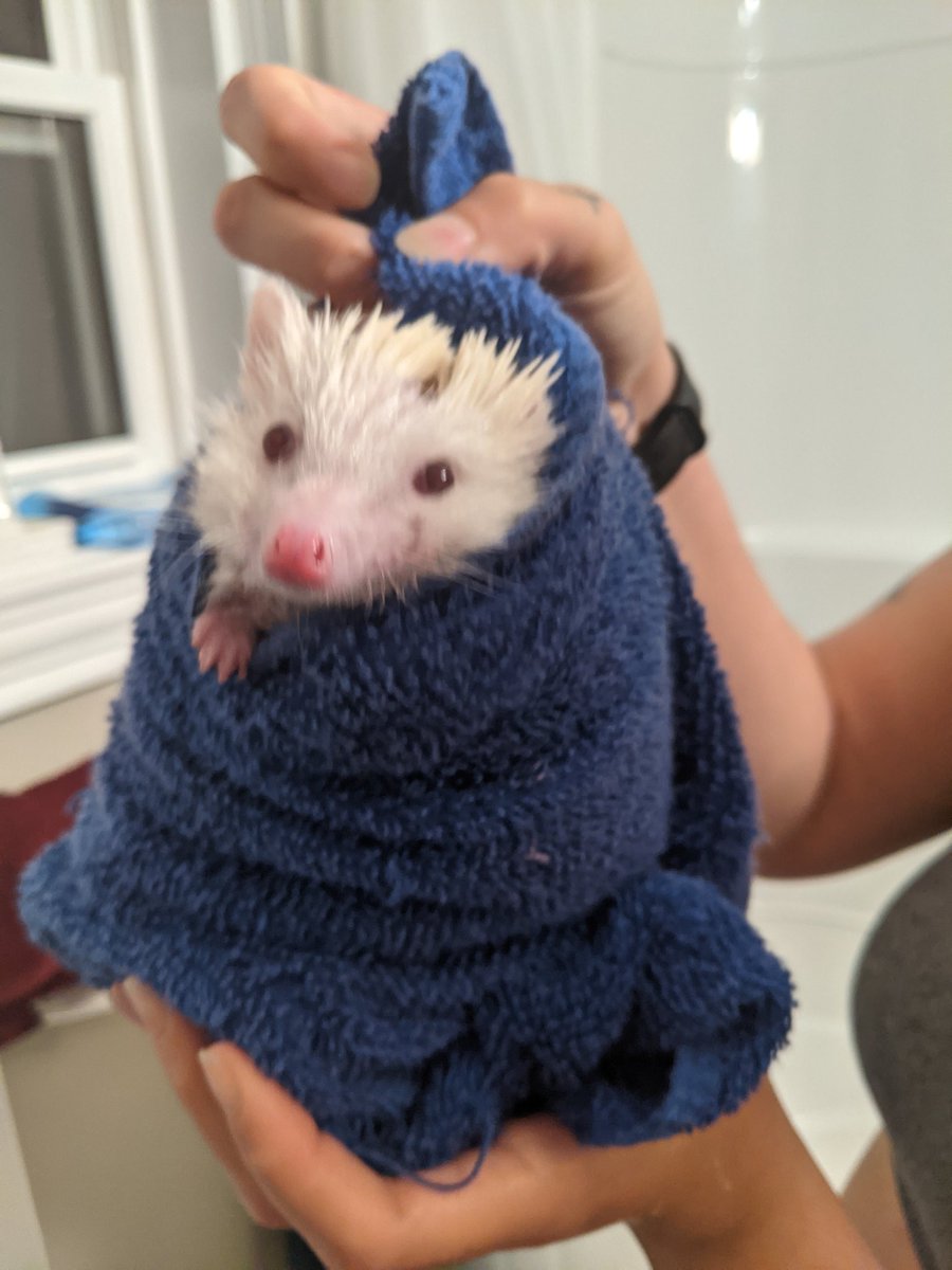 Crimson Lemon Gaming tweet media