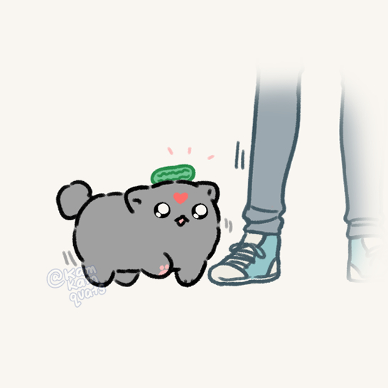 kamkamquats's tweet photo. eh? no?

#dailybingpup https://t.co/TGcPJKcgCi