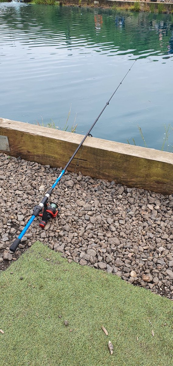 ladyk300's tweet photo. Wee day out the office 🐟 https://t.co/v8cwAefBc4