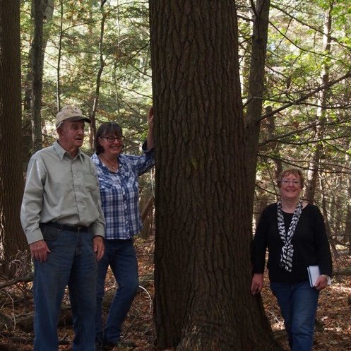 Long Point Basin Land Trust tweet media