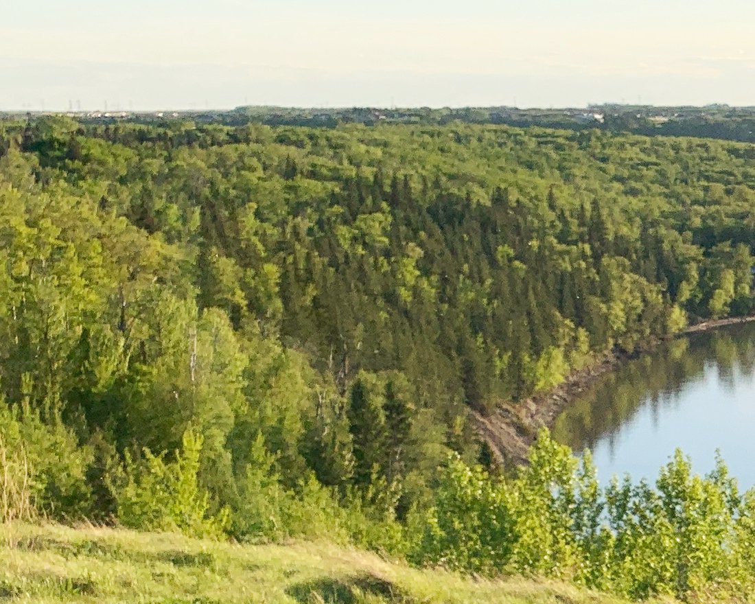 mkhirji's tweet photo. Ramsay Heights  Look Out - *|https://t.co/sVsTDSkT1j|* The look out, allows a view of Edmonton out west. The spring green vegetation was inviting. I set up my field easel and started to paint on location (plein air). I believe it was a success. https://t.co/XyGJo6OhjT