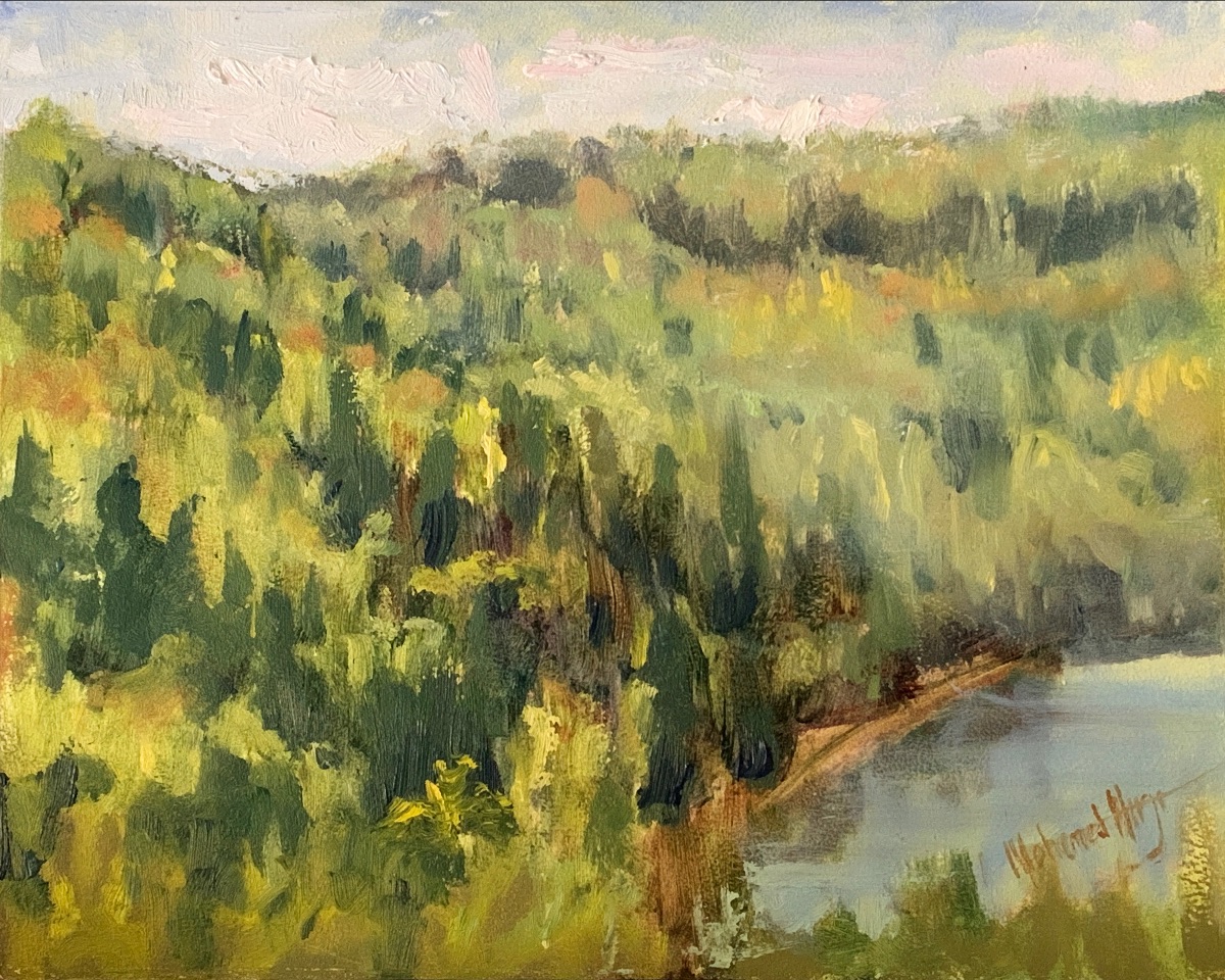 mkhirji's tweet photo. Ramsay Heights  Look Out - *|https://t.co/sVsTDSkT1j|* The look out, allows a view of Edmonton out west. The spring green vegetation was inviting. I set up my field easel and started to paint on location (plein air). I believe it was a success. https://t.co/XyGJo6OhjT