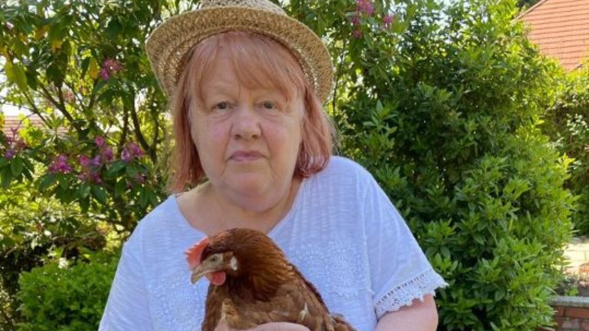 Love these photos from our member group Kirriemuir Day Centre, who recently welcomed 4 hens from <a href="/WAAPHenRescue/">WAAP Hen Rescue</a>. As you can see, they're settling in well and have been a great hit with their members, bringing back memories from childhood and days working on farms. #FeelGoodFriday