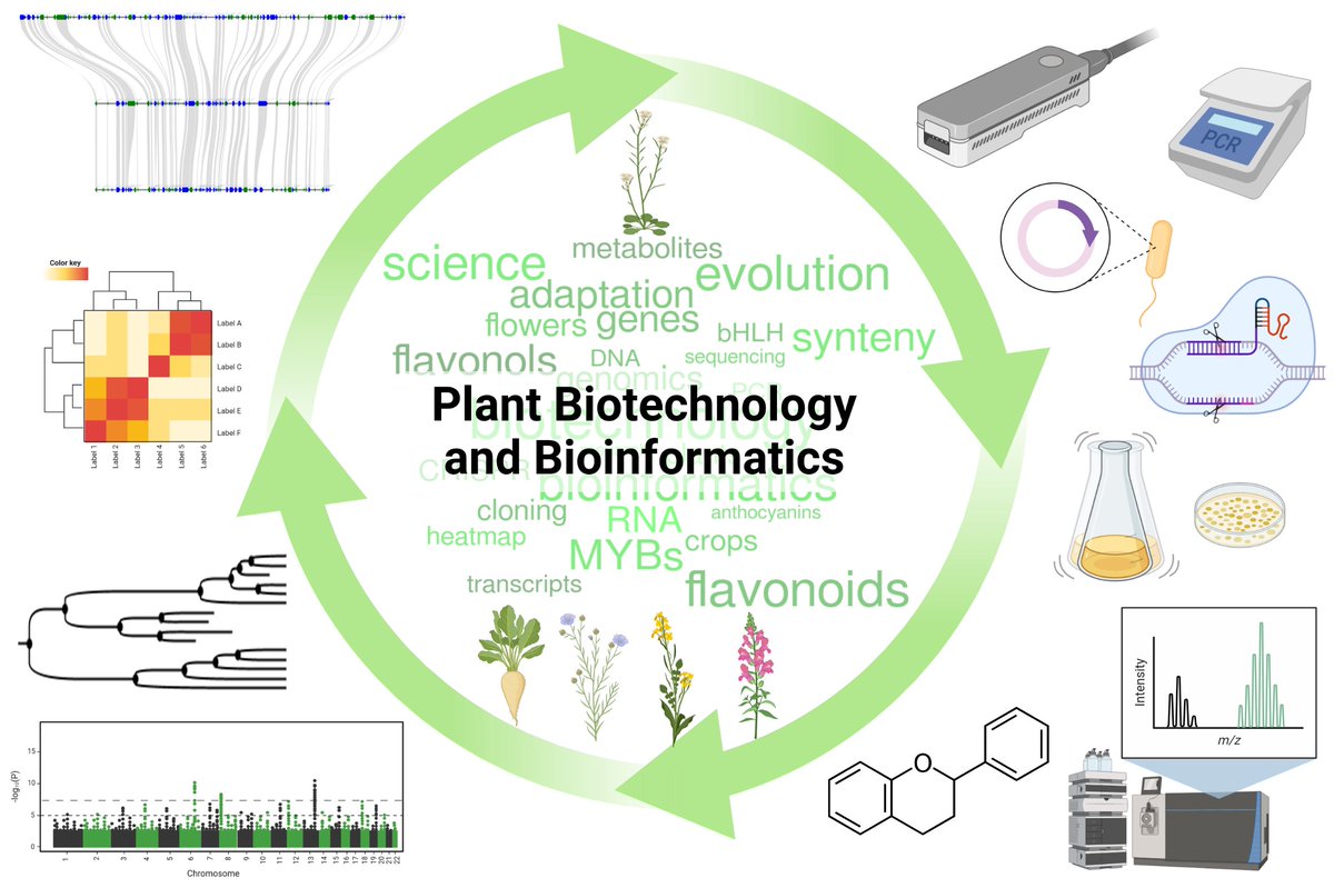Please RT:
Interested in specialized metabolites, plants, and bioinformatics?
A PhD position <a href="/PuckerLab/">Plant Biotechnology and Bioinformatics</a> in the context of flavonoid biosynthesis is available. Many opportunities to work on your own ideas. Happy to answer questions via email. 

Details: lnk.tu-bs.de/Nfi8ek