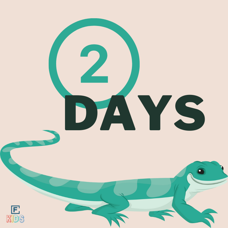 Fairview Church tweet media