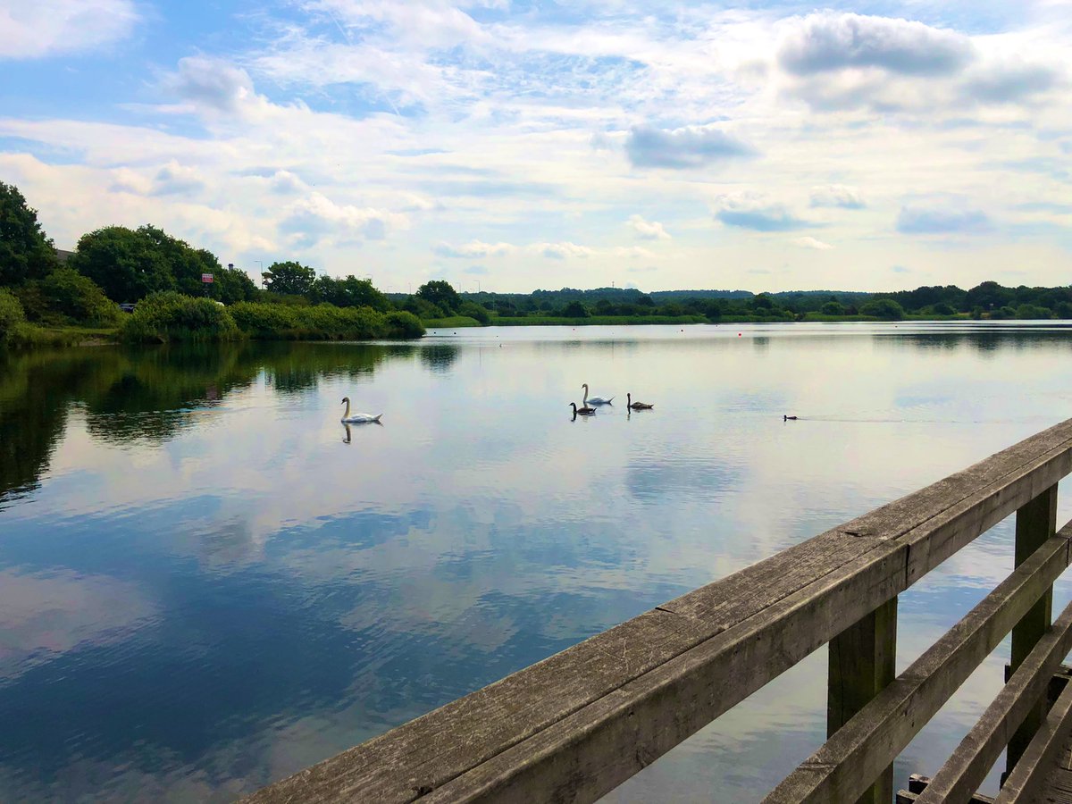 mulberryward1's tweet photo. For the walking group this morning we decided to go to Ashby Ville Nature Reserve, we had a walk round and spent sometime watching the wildlife around us. The patients described how they found this environment calming and enjoyed the time there. 🌳🦢🐟🦆🌤 https://t.co/D67VLuw81L