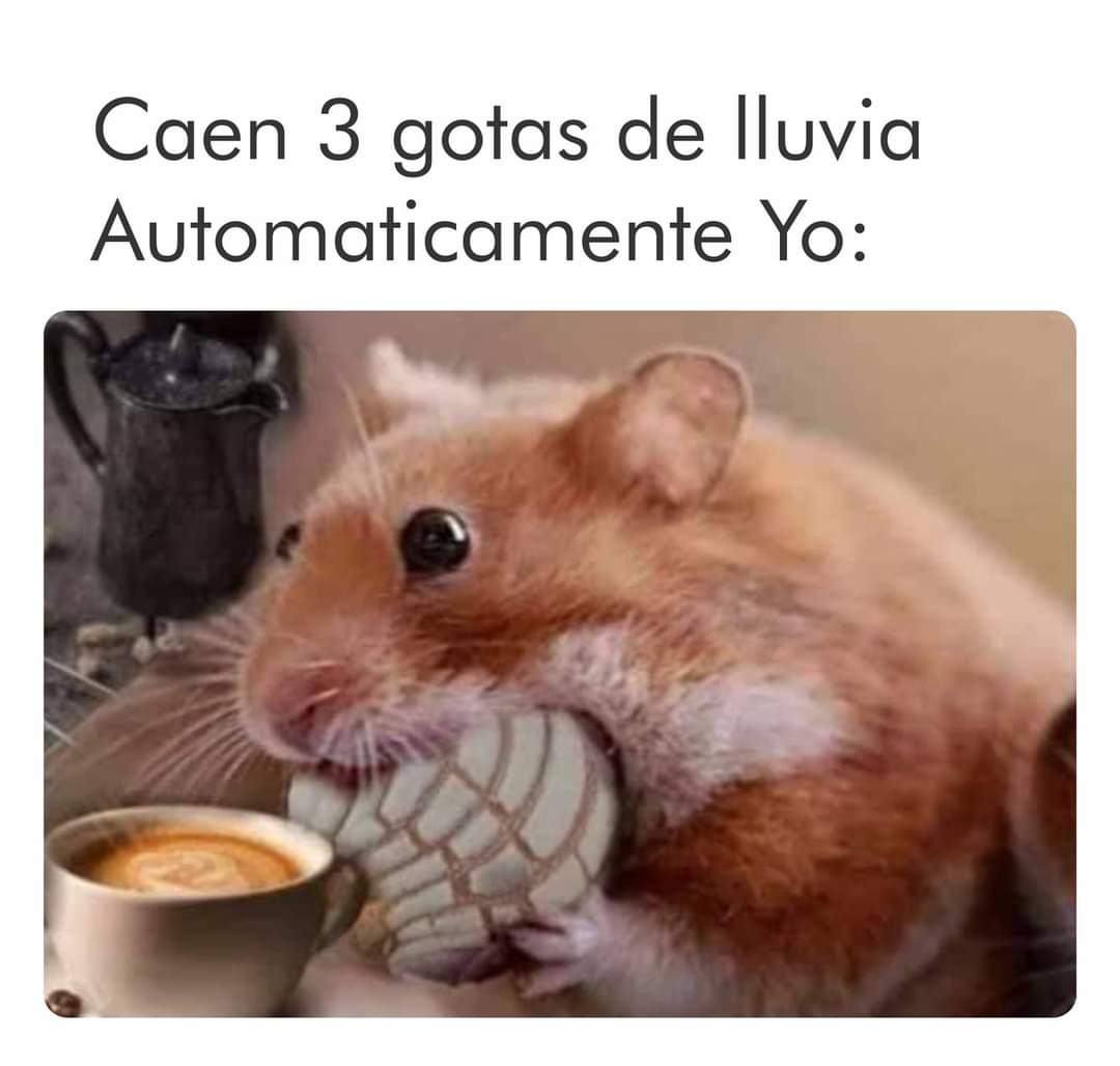 JavierDoarado's tweet photo. Confirmo 😏 https://t.co/TiQfOoqFTw