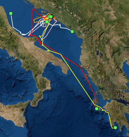 Follow the live tracking migration of Yelkouan shearwaters - a pelagic seabird endemic to the Mediterranean and the Black Sea: buff.ly/2SUBjL1 ● by #CIESM (Mediterranean Science Commission) in collaboration with @BiomHr
