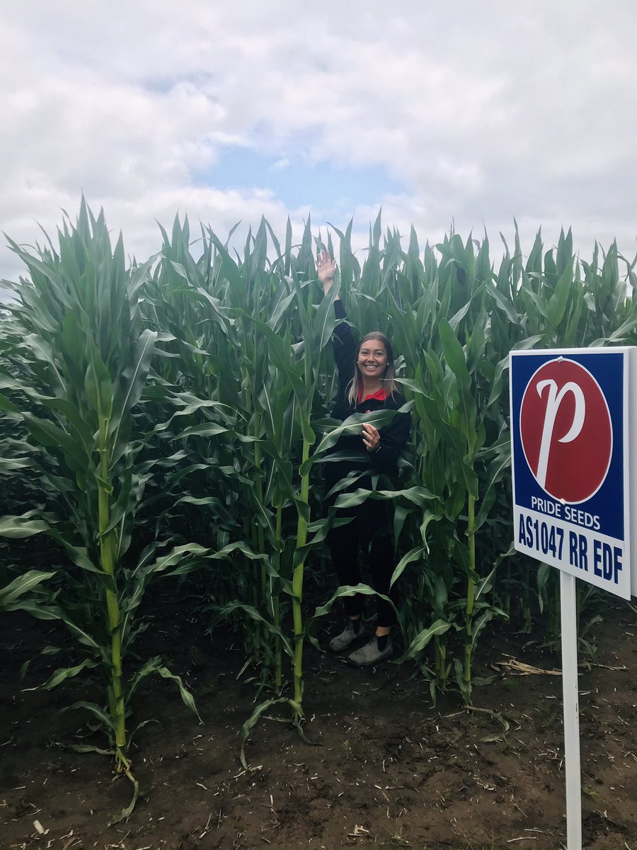 Signing a very nice <a href="/PRIDESeeds/">PRIDE Seeds</a> showcase plot on Boundary Road outside of Russell! The corn is loving the 1” of rain we got yesterday! <a href="/jodi_ferguson/">Jodi Ferguson</a> can’t keep up with the AS 1047 RR EDF! This thing is a beast! #PRIDEinMyField #EOntAg