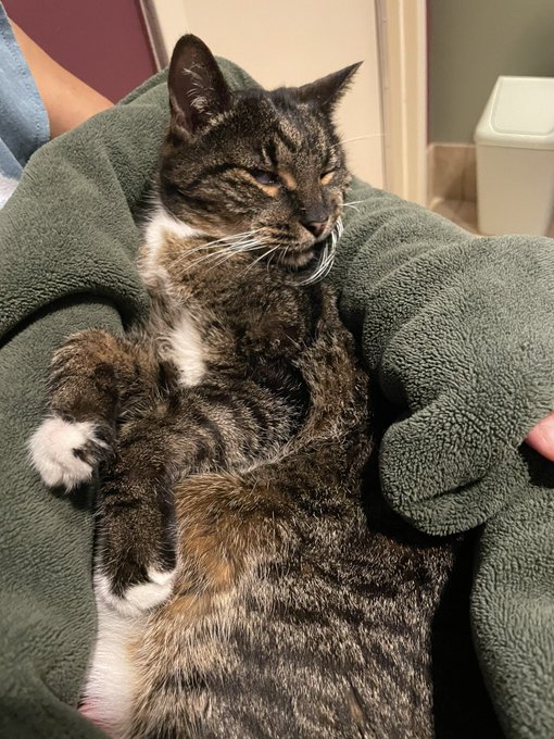 Last picture 🥲 you will be missed Lelo 🙌🏻 17 years old https://t.co/uTeoafdGJt<a href="/tag/staycool"class="tags"><span>#staycool</span></a><a href="/tag/stacie"class="tags"><span>#stacie</span></a><a href="/tag/wifecrazy"class="tags"><span>#wifecrazy</span></a>