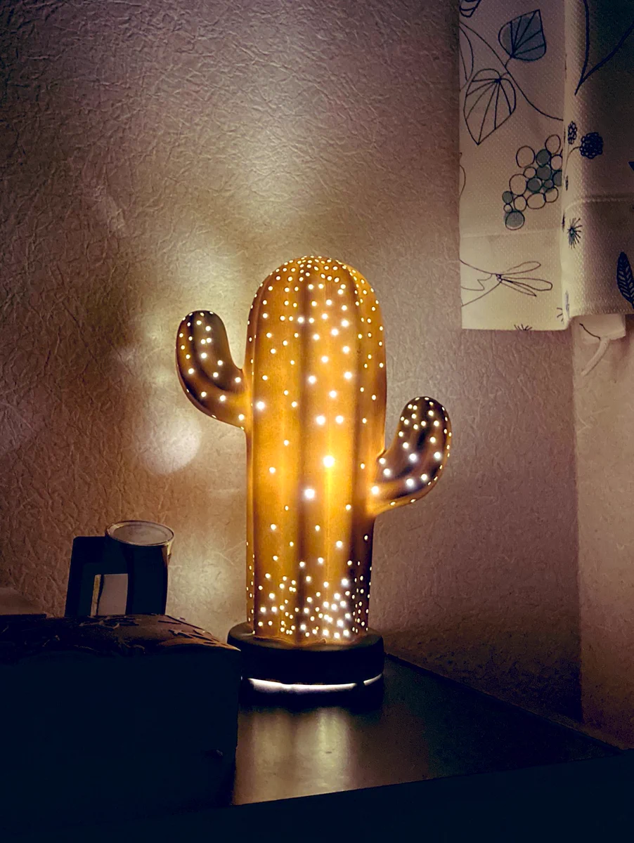 一目惚れして購入したサボテンランプだけど？自爆寸前のサボテンと言われてしまうwww
