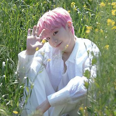 rominkingo's tweet image. eu nunca vou superar esse wonjun pitiquinho