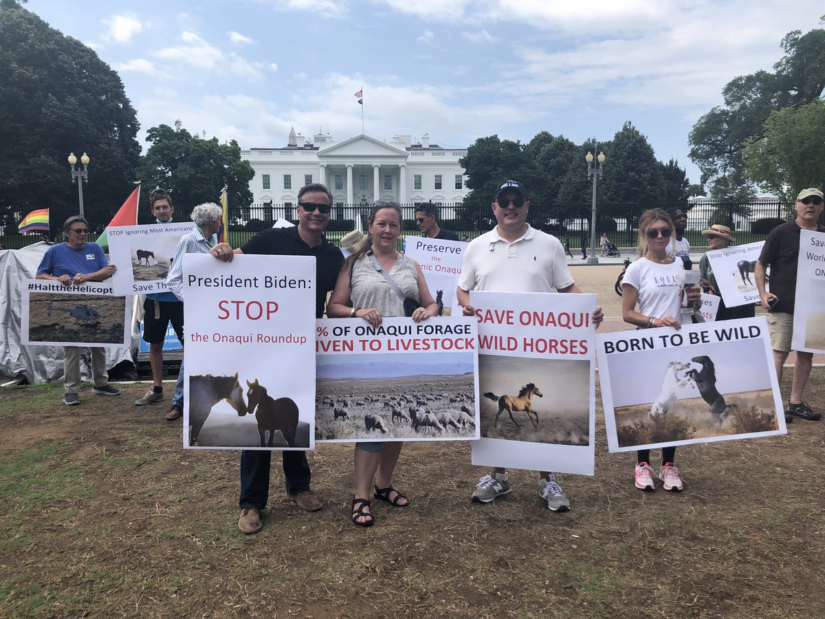 MartyIrby's tweet photo. We’re here rallying @WhiteHouse to #savetheonaqui #saveonaqui #wildhorses from @POTUS @SecDebHaaland @Interior @BLMNational’s roundup set for next week. #stoptheroundups #haltthehelicopters @JoeBiden! 🐴 https://t.co/YC4De94iTR