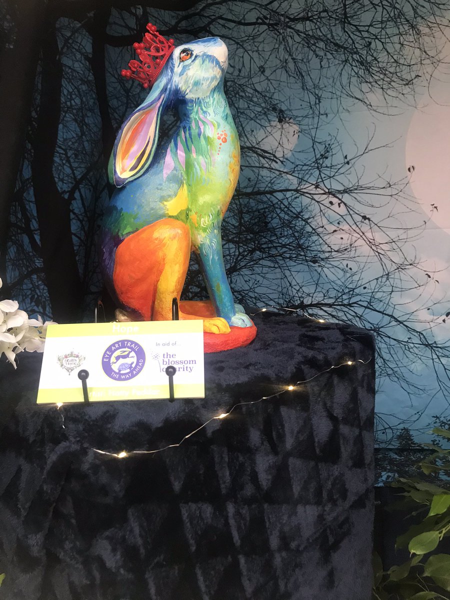 pamelamnugent's tweet photo. “Hope” is looking lovely  in her new window display. Come and have a look when on the Hare and Tortoise trail. Also check out her big brother “River” who is sitting proudly on Wellington Road. #eyesuffolk #healthyathome #hattypeddar #theblossomcharity #thewayahead #eyearttrail https://t.co/8EpiiImEK2