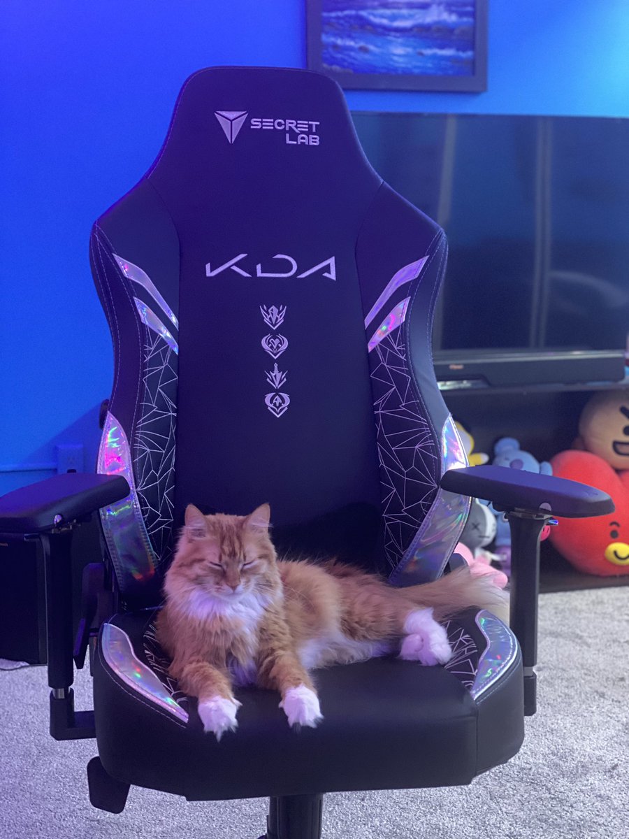 mango12390's tweet photo. Suga is loving my new KDA #secretlab chair as much as I do!! 

#ad @secretlabchairs https://t.co/KYLSmPPPID