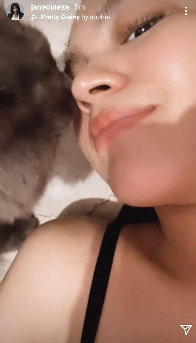 Cheshire and his/her (?) favorite human 😻

#FelineLove 

P.S. tangos nose mo @itsJaneOineza 💛🌻