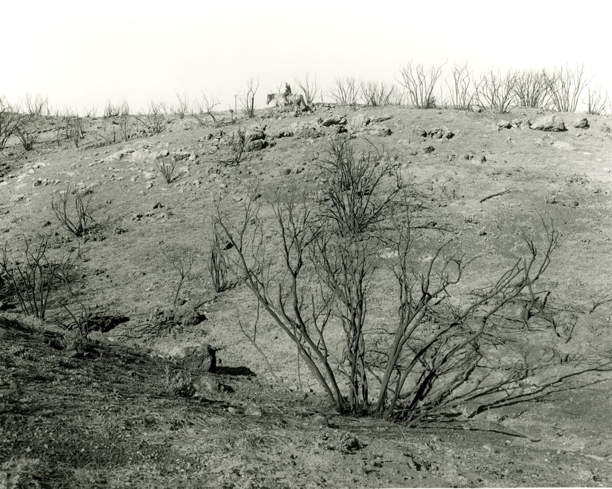 galleryluisotti's tweet photo. Mark Ruwedel has been shortlisted for the ninth cycle of the Prix Pictet –a global award in photography and sustainability.

Selected is his body of work, “LA Fires”, 2017 - 2020, from his four-part, in-progress project titled Los Angeles: Landscapes of Four Ecologies. https://t.co/5cZuIg3FPs