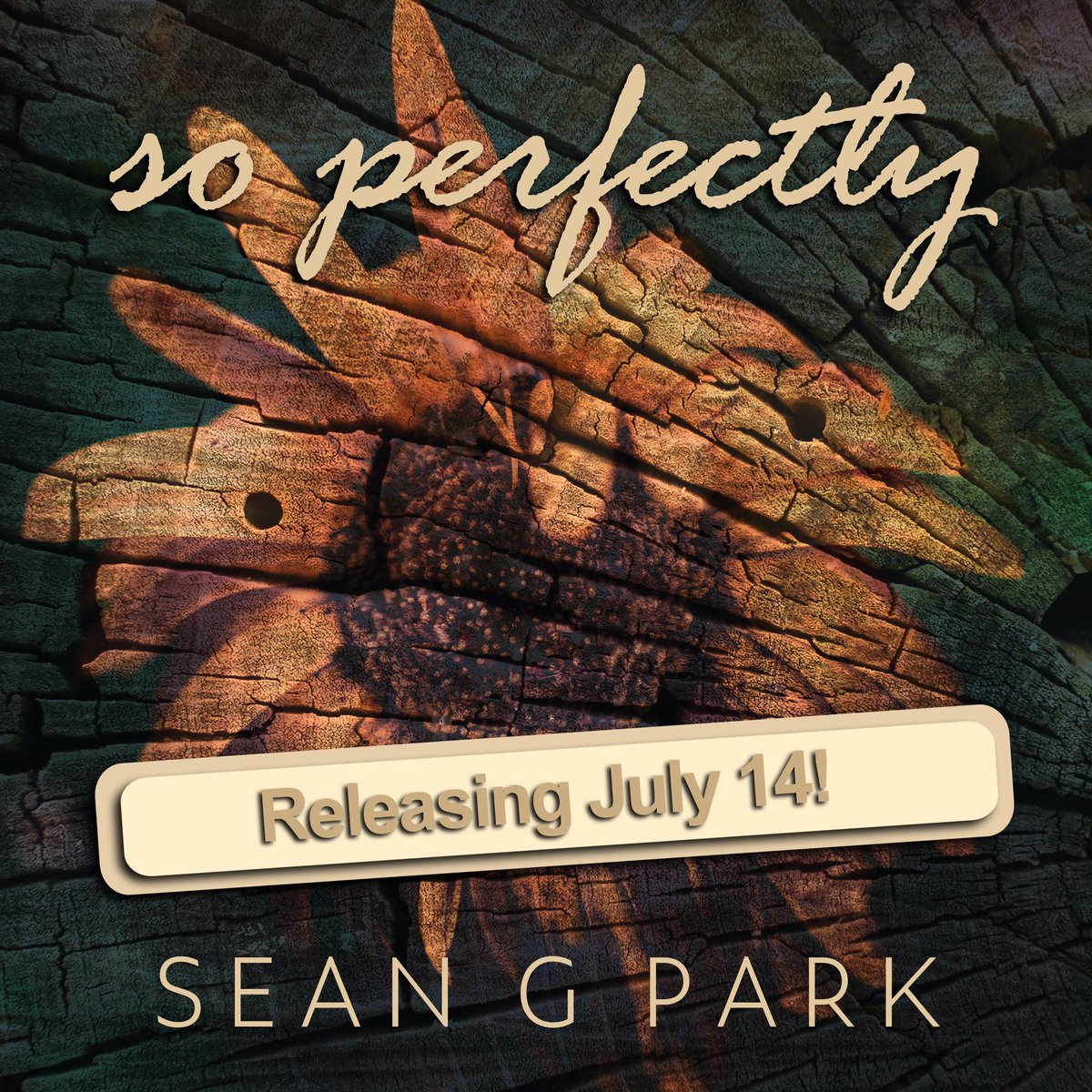 OneLifeTour's tweet image. Really excited for you to hear my new song! Listen to my current music here!
smarturl.it/seanGpark