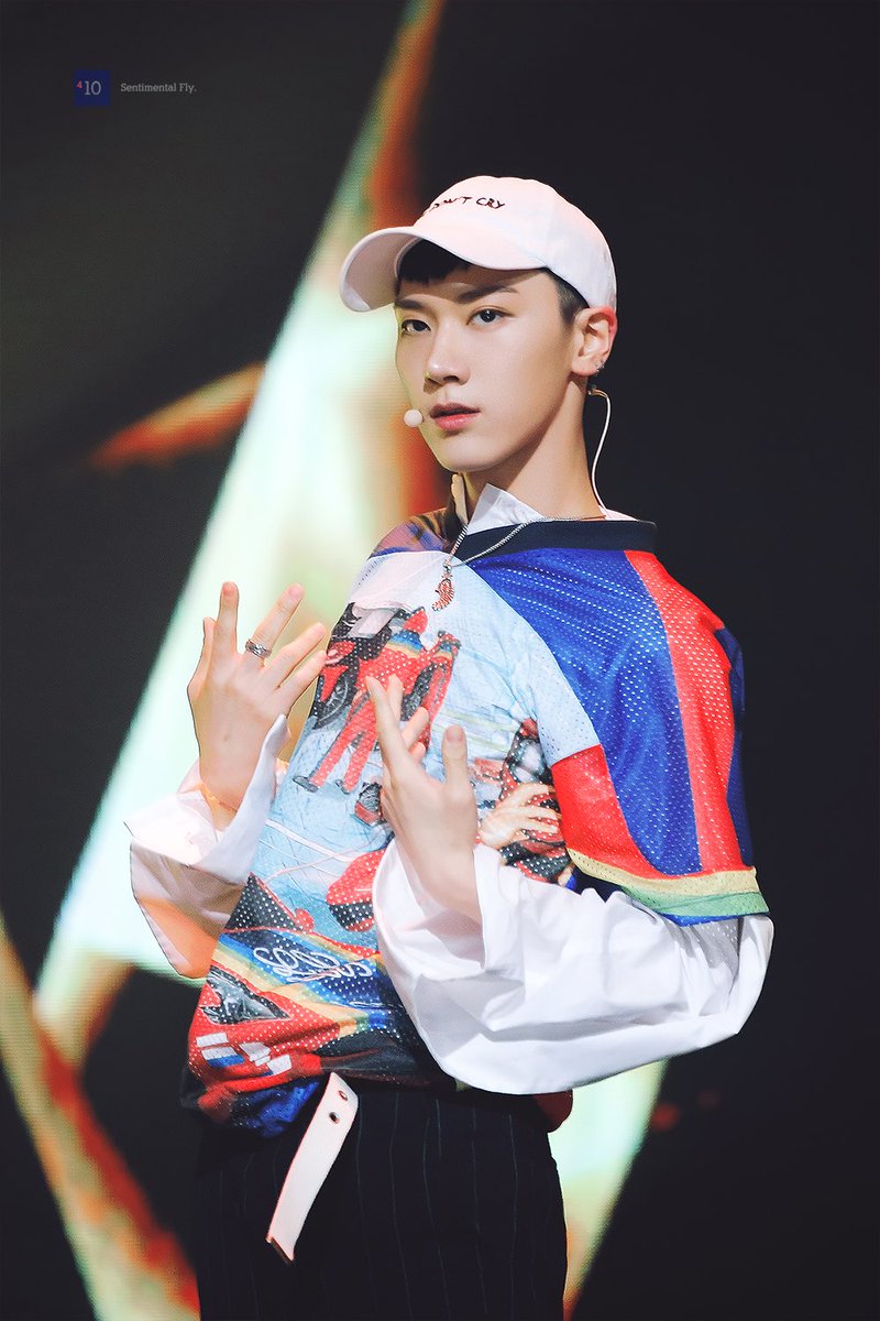 Sentimentalfly's tweet image. 