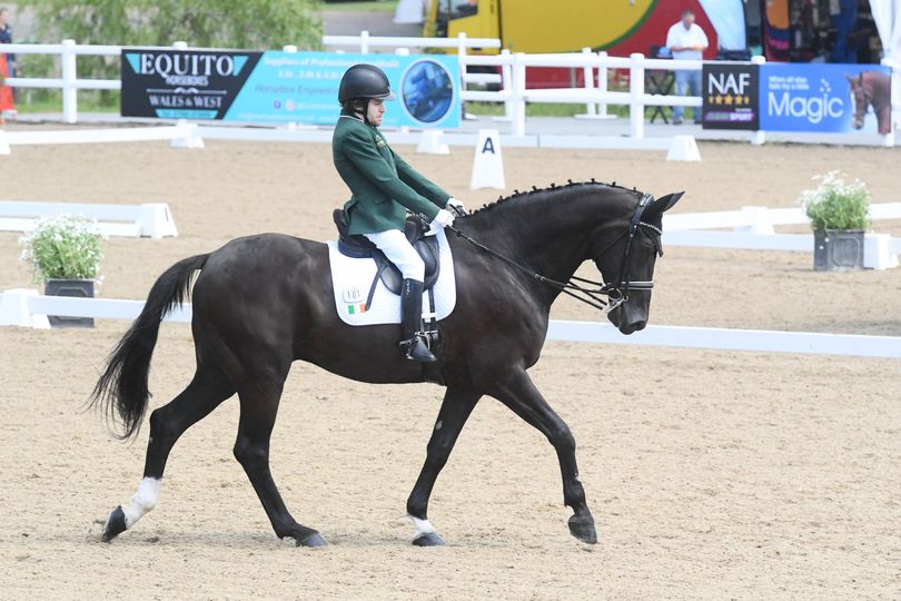 HorseSportIRL's tweet photo. Michael Murphy scores 82.222% on way to Hartpury hat-trick
Irish Para Dressage athlete Michael Murphy and the gelding Cleverboy have completed a fantastic hat-trick of wins at Hartpury CPEDI. They took victory in today's CPEDI3* Freestyle I with a remarkable score of 82.222%. https://t.co/mCjoipGJ2j