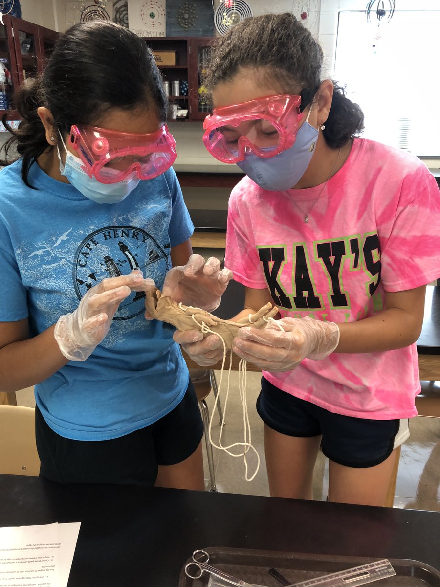 MsJames373's tweet photo. There's no better way to start your Friday than with a fetal pig dissection! Next week our biomedical course, The Science of You, will dive into the sheep heart. 🫀@CouncilRockSD  #STEMeducation #summerenrichment #summeracademy https://t.co/NualTJxqb3