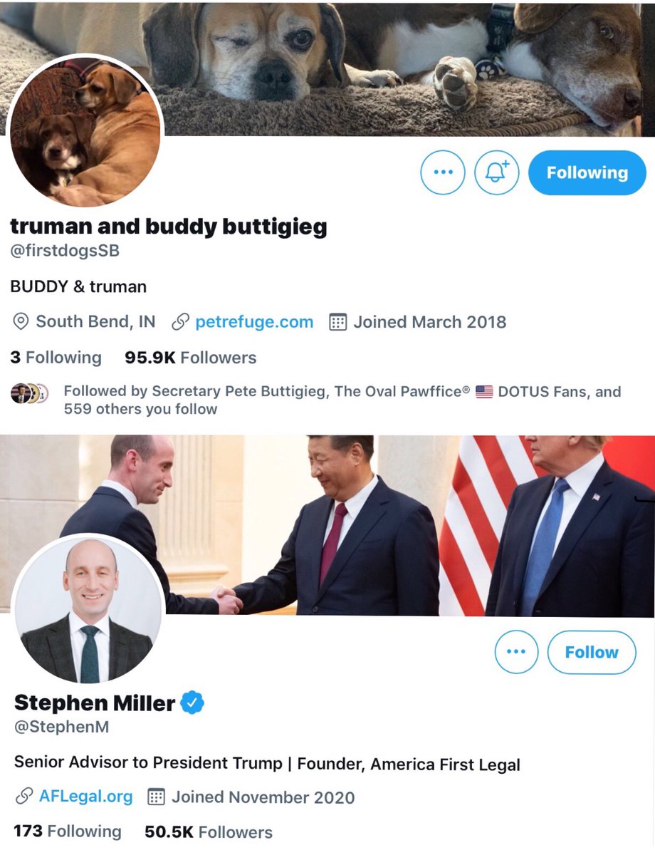 My petty thrill of the day is discovering that @firstdogsSB truman & BUDDY have 2X the followers as Stephen Miller. 🐾🐾

And 1000X the heart, soul, and personality. ❤️😇😎
#GoodBois