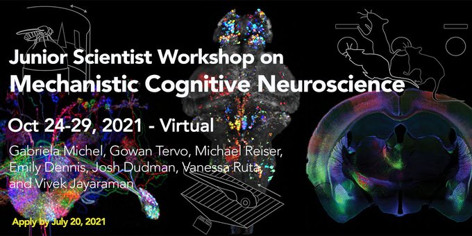 Abteilung Zellulare Neurowissenschaften Leibniz Institute For Neurobiology Lin