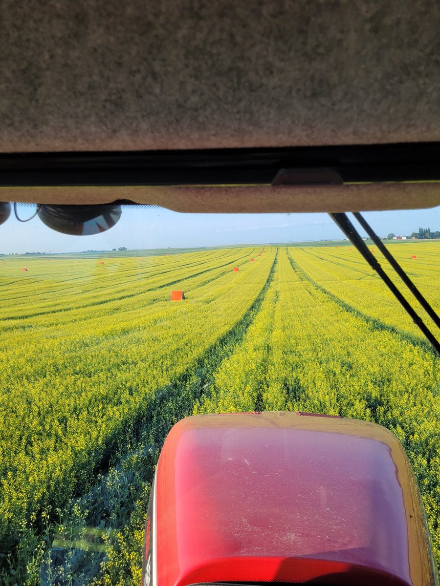 Love this time of year