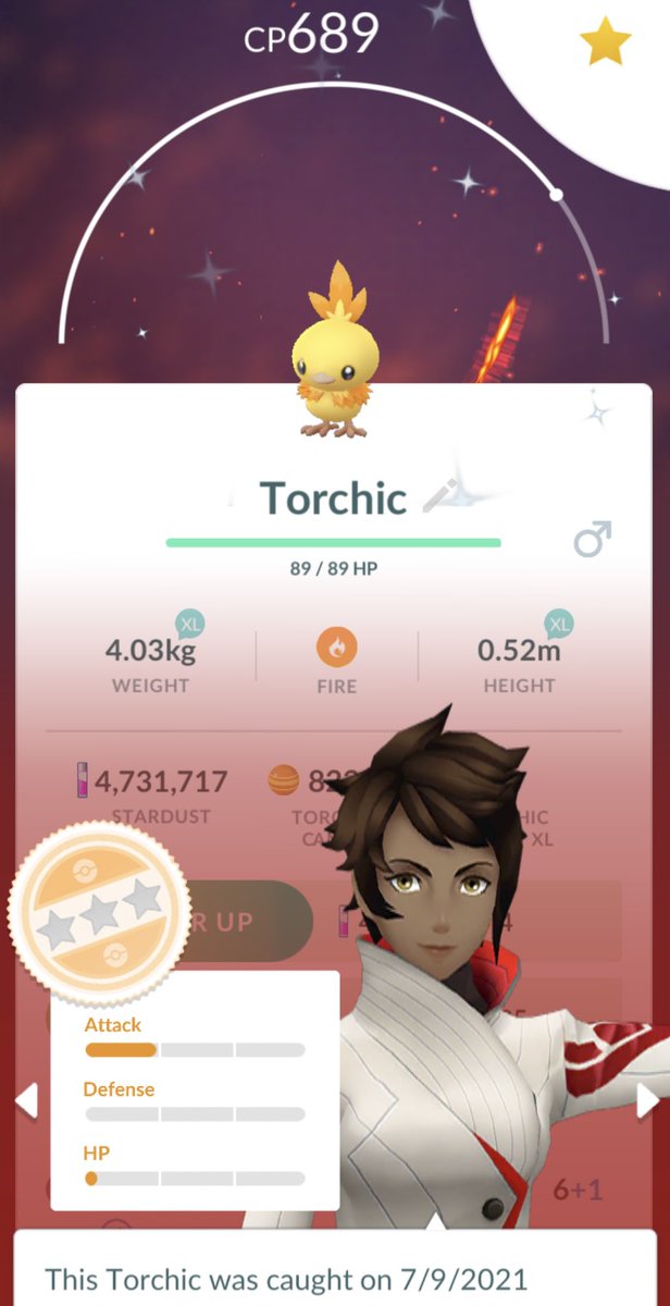 mrlongelote's tweet photo. hello shiny chic ✨🐥 #shinypokemon #shinytorchic https://t.co/DQPqwBM0WY