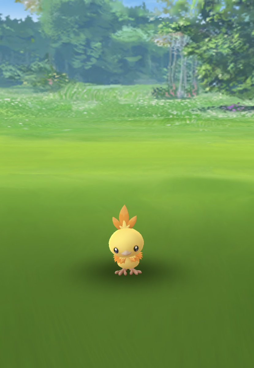 mrlongelote's tweet photo. hello shiny chic ✨🐥 #shinypokemon #shinytorchic https://t.co/DQPqwBM0WY
