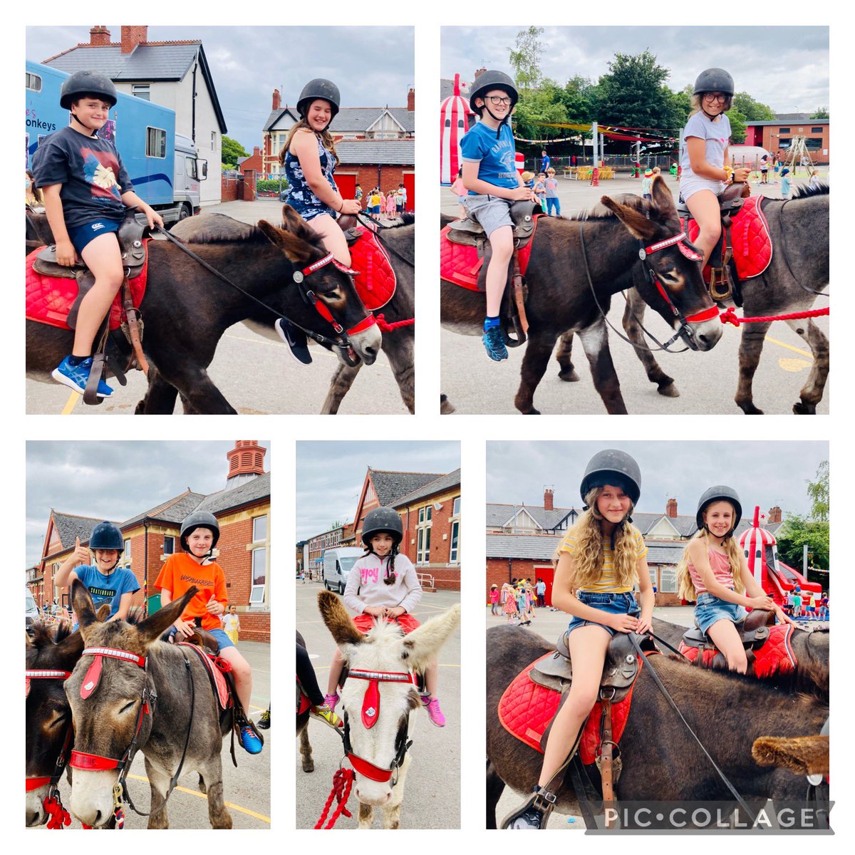 What a wonderful treat! Donkey rides in #5C ❤️