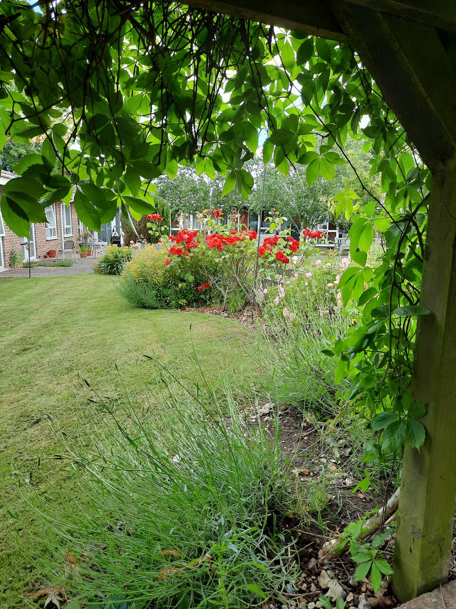 neilfooter007's tweet photo. #robertkettcourt #bhgestates just a few pictures from our housing with care home . https://t.co/Ma9O7uTEaM