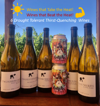 Two Shepherds Wine tweet media