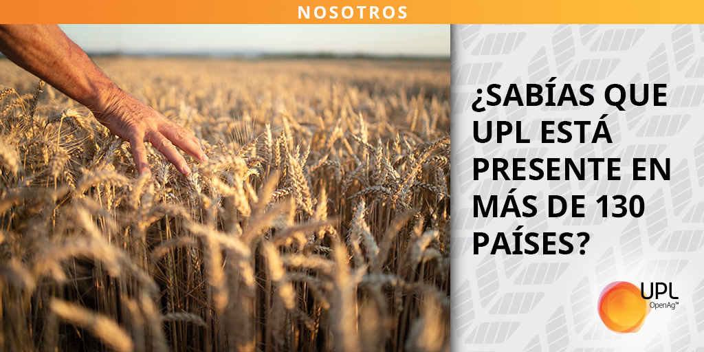 uplagro_chile's tweet photo. Tenemos cobertura nacional e internacional en más de 130 países. En todos ellos contamos con profesionales capacitados para satisfacer tus necesidades.
Conócenos: https://t.co/zqMEZZQ61Y
#UPLChile #CoberturaInternacional https://t.co/ttFlVLewm0