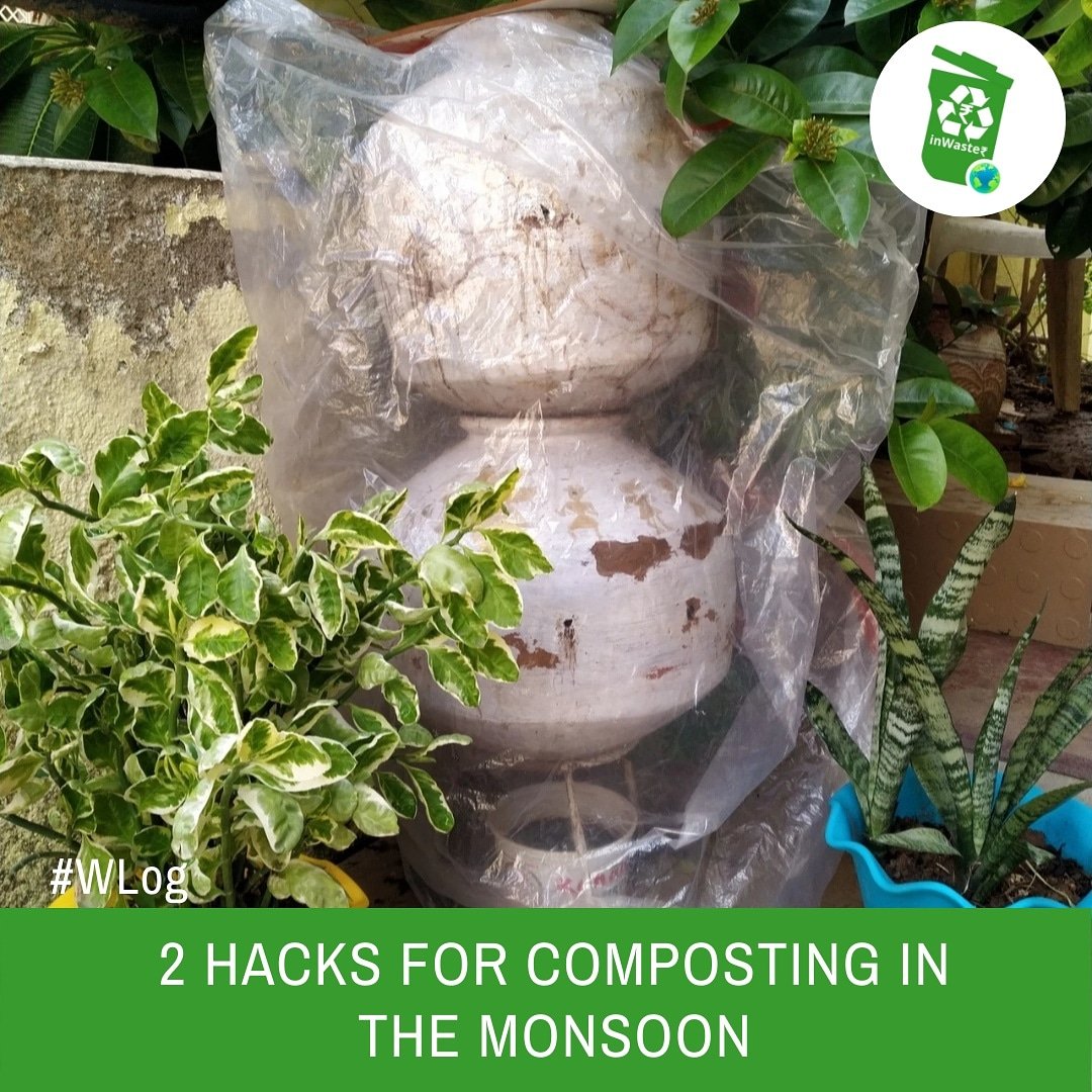 InWasterCo's tweet photo. Composting in the monsoons can be difficult and tricky...
Our in-house composting expert Anjali Choudhary has 2 simple hacks for happy composting this monsoon.
Head to the #Wlog on the #inwaster platform to read her tips on #monsoon #composting https://t.co/Cfmqxnzdli https://t.co/813boQmQxK