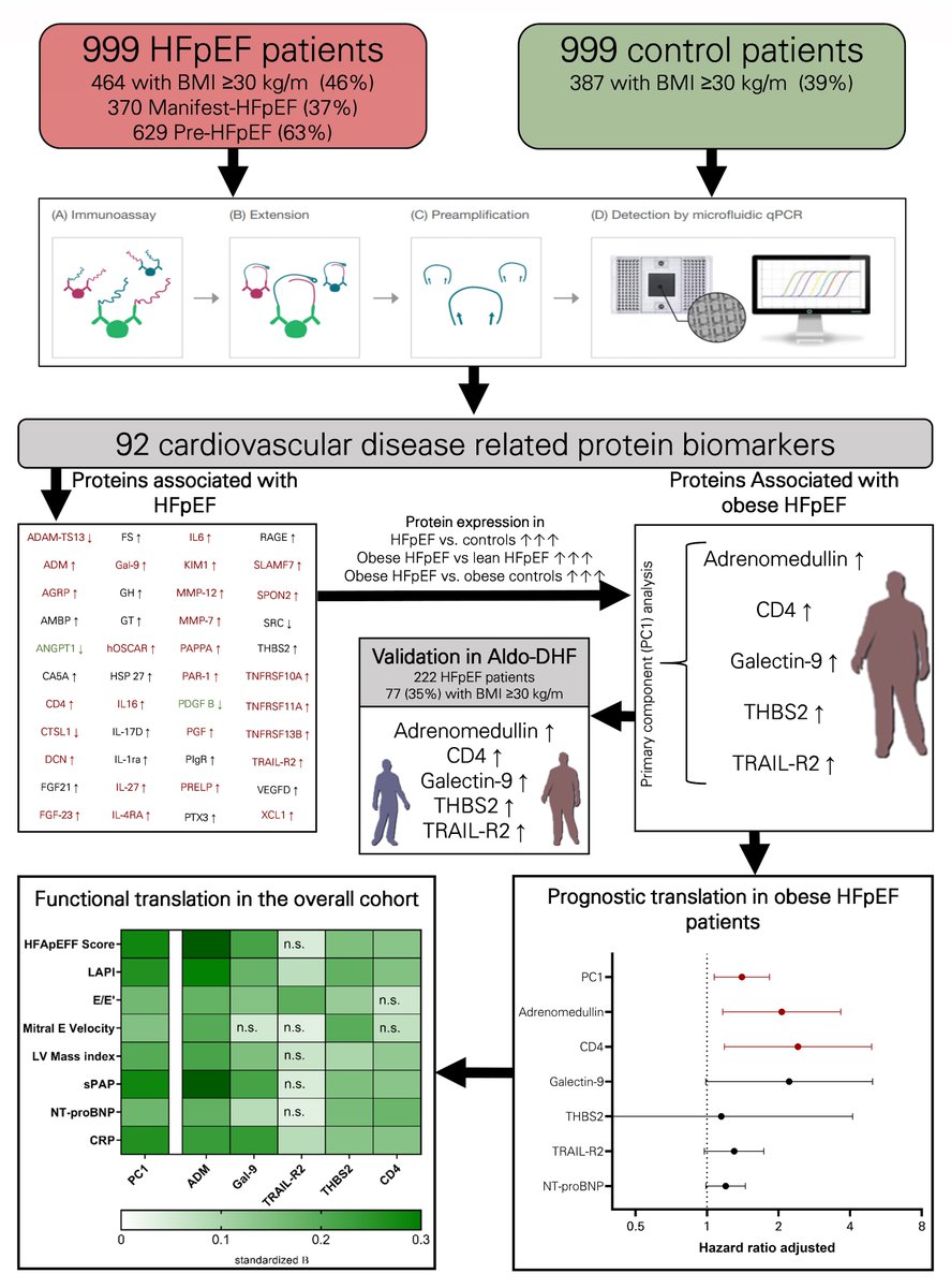 Karl-Patrik Kresoja (@kp_kresoja) on Twitter photo Dear #Cardiotwitter check out our recent paper in #EJHF, where we identified a distinct protein profile in obese HFpEF patients , which was characterized by biomarkers of volume expansion, fibrosis and inflammation <a href="/PhilippLurz/">Philipp Lurz</a> <a href="/thiele_holger/">Holger Thiele</a> <a href="/kp_rommel/">Karl-Philipp Rommel</a> onlinelibrary.wiley.com/doi/10.1002/ej… Dear #Cardiotwitter check out our recent paper in #EJHF, where we identified a distinct protein profile in obese HFpEF patients , which was characterized by biomarkers of volume expansion, fibrosis and inflammation <a href="/PhilippLurz/">Philipp Lurz</a> <a href="/thiele_holger/">Holger Thiele</a> <a href="/kp_rommel/">Karl-Philipp Rommel</a> onlinelibrary.wiley.com/doi/10.1002/ej…
