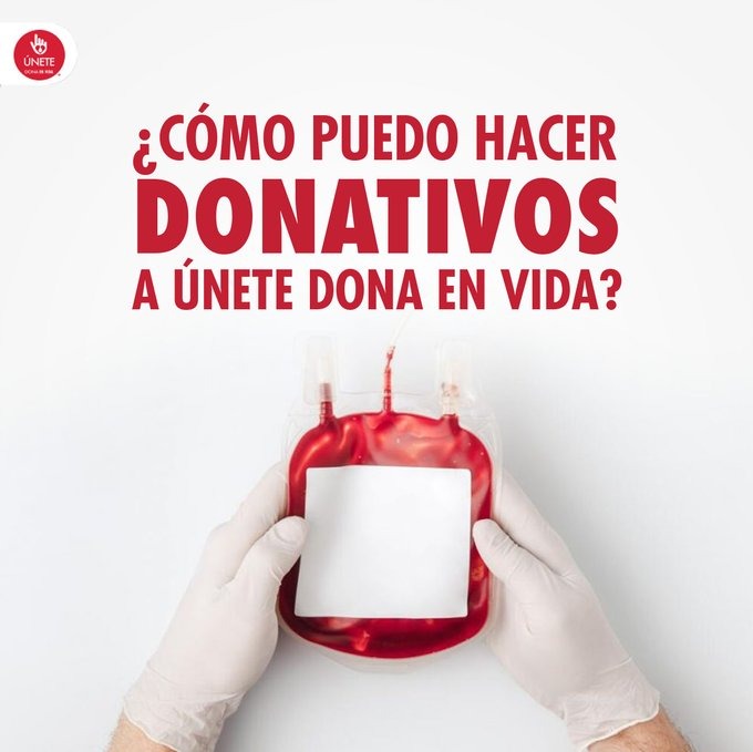 donaenvida's tweet image. En ¡ÚNETE! Dona En Vida nos dedicamos a fomentar la cultura de donación de sangre altruista. 🩸
Puedes suscribirte para hacer aportaciones mensuales y seguir salvando vidas con nosotros.
$50: bit.ly/3hs9KC4
$100: bit.ly/3e2ZIFl
$150: bit.ly/3hUy12B