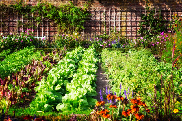 The English Garden tweet media