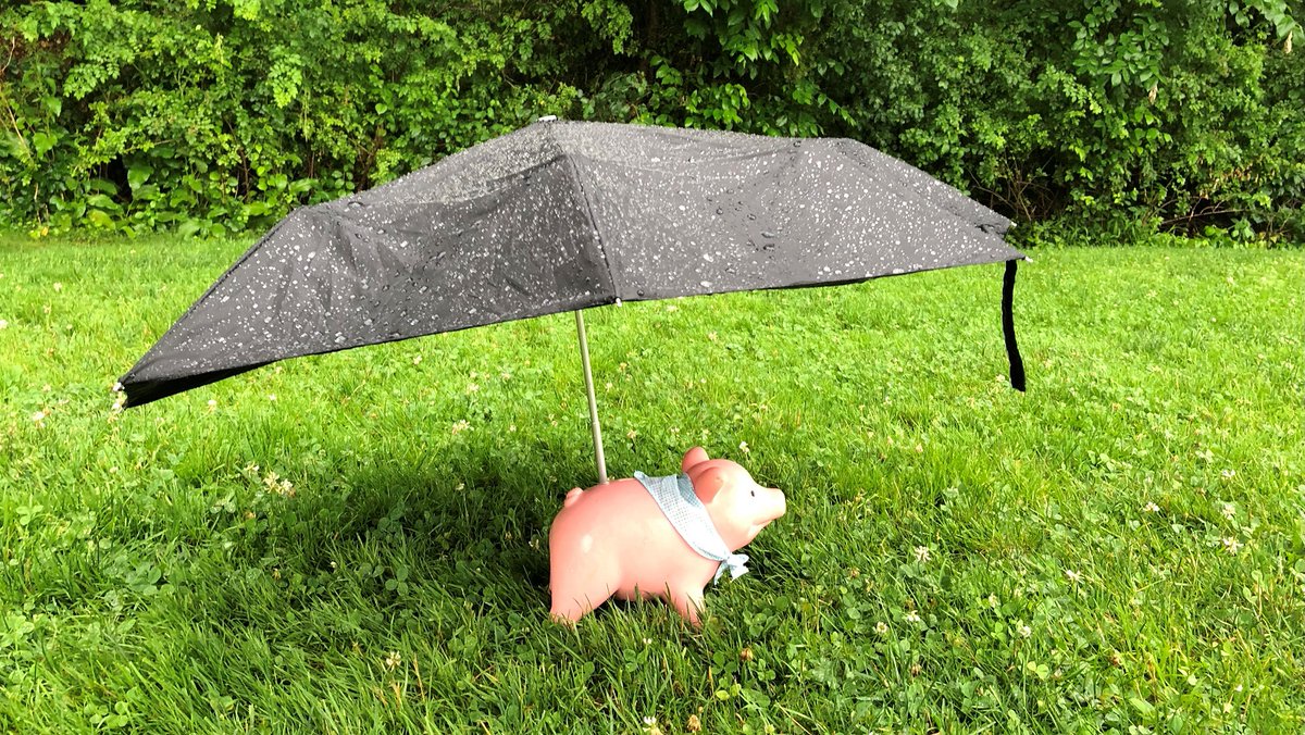 Pink piggy bank holding an umbrella in the rain.