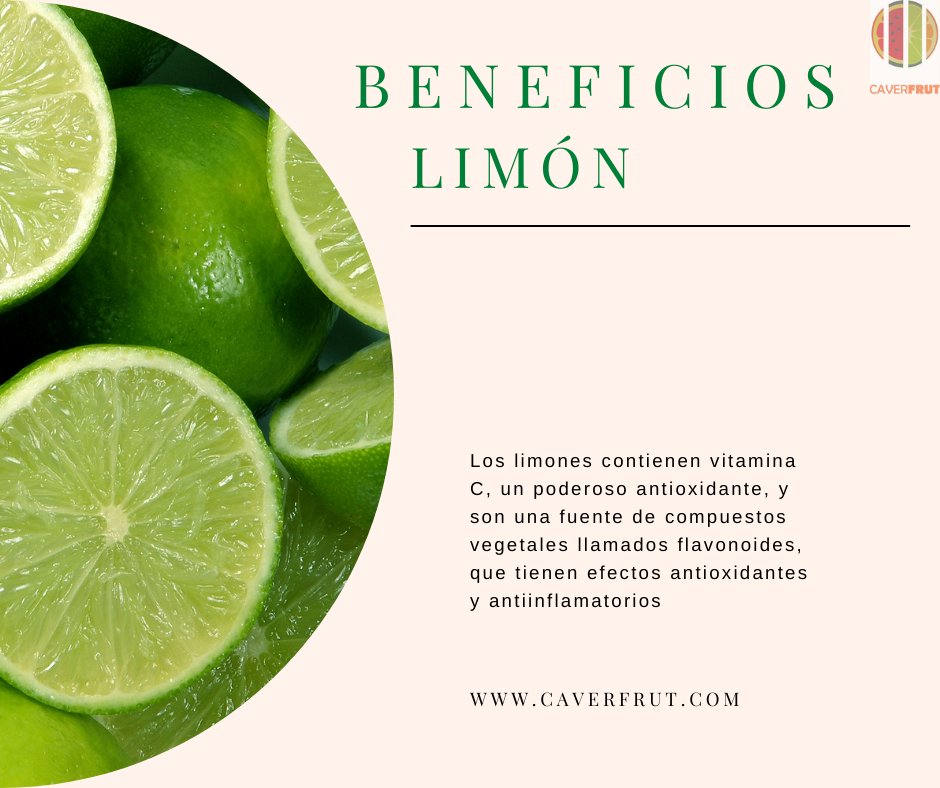 caverfrut's tweet photo. Los limones son una rica fuente de vitamina C, un poderoso antioxidante. De hecho, un limón exprimido proporciona alrededor del 21% del valor diario (VD) de una persona. 
.
.
.
.
.
#caverfrut #lime #veracruz #limón #vitaminac #México https://t.co/R8DeYumz5m