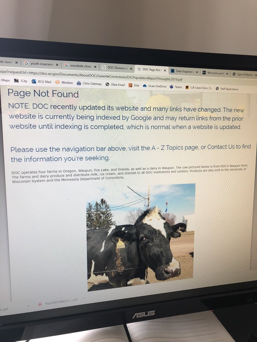 Rose_E_T's tweet photo. I am absolutely loving this cow that the Wisconsin Dept. of Corrections is using as its 404 file. Outstanding! https://t.co/9rfVRY7y4L