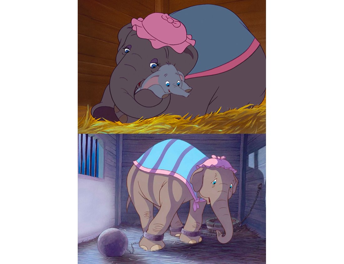 The_Bible_Code's tweet photo. FUN with ONTARIO 🇨🇦
ELEPHANT 🐘a New Provincial SYMBOL?
("Elle Enfant"🐘👩‍👦🏆)

SAME Tale 🐳😇?
(an "Agrarian" Leap? 🌊🧑‍🌾🎱❤️⛓️🪨)

London = Undone ⛓️💔💥 ("Bridge" ⚡️) https://t.co/nVTLSDy5wJ