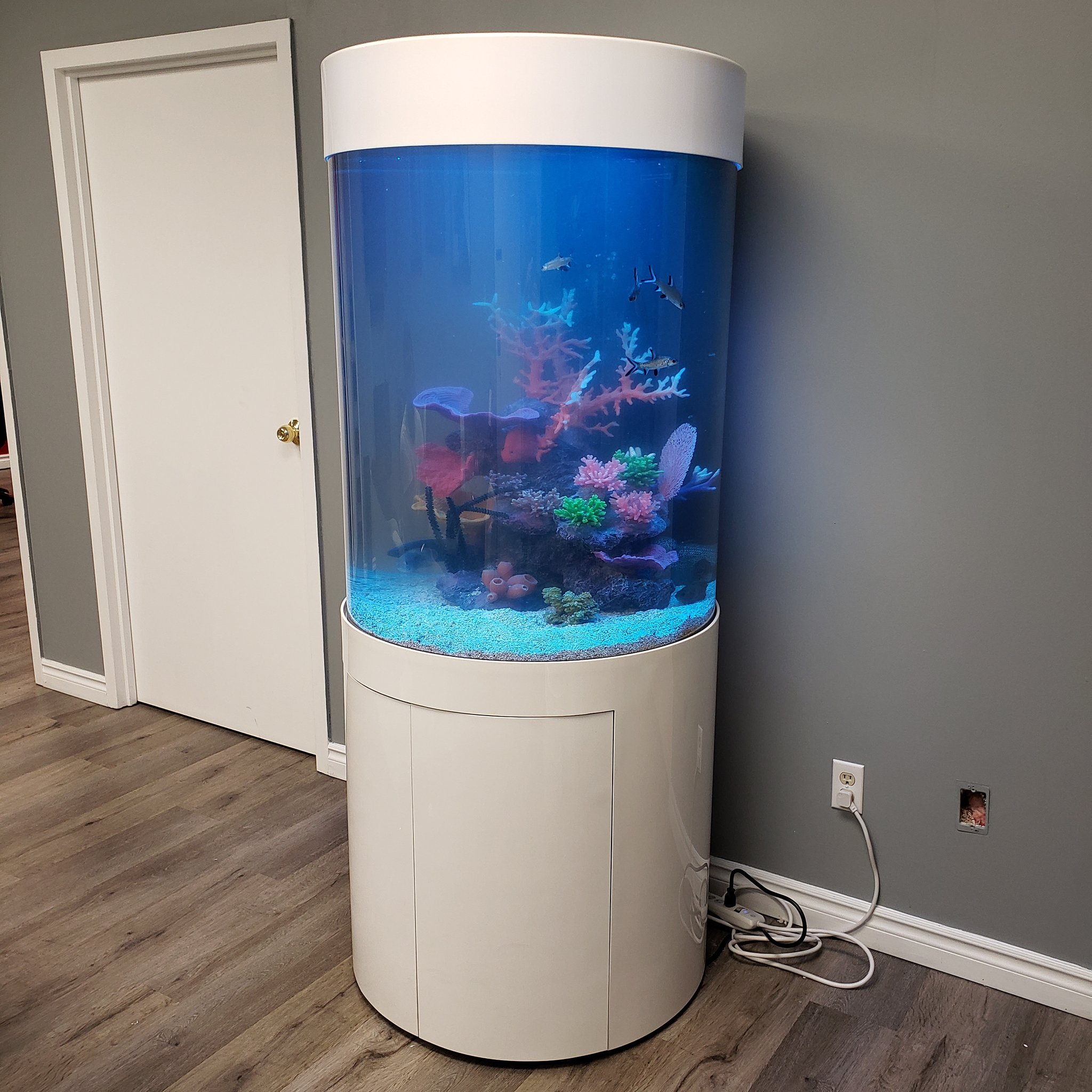LTAquariums Twitter: "Acrylic cylinder #ltaquariums #aquarium #fishtank #acrylic #cylinderaquarium #customfishtanks #toronto https://t.co/jiAmZxnxPd" / Twitter