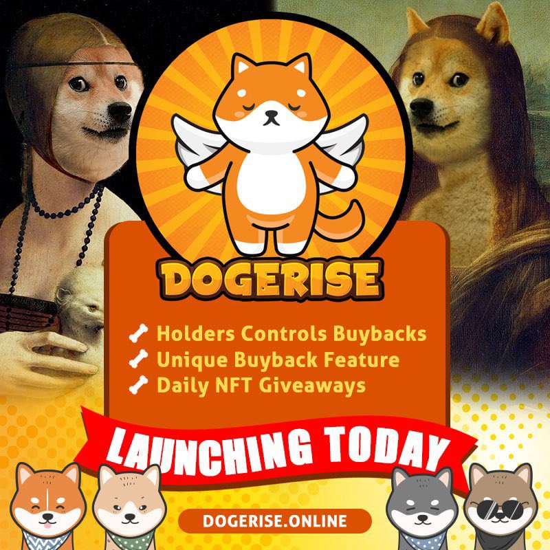 DogeRiseBSC's tweet photo. @1goonrich Top 100 holders are put in a separate tg chat where they will make community decisions on buy back timing, marketing plans, and other community decisions
Real devs ✅ Big marketing plan ✅ Moon confirmed 🐕🌝

https://t.co/W8LC85eCfy https://t.co/rU6GqSPEMS