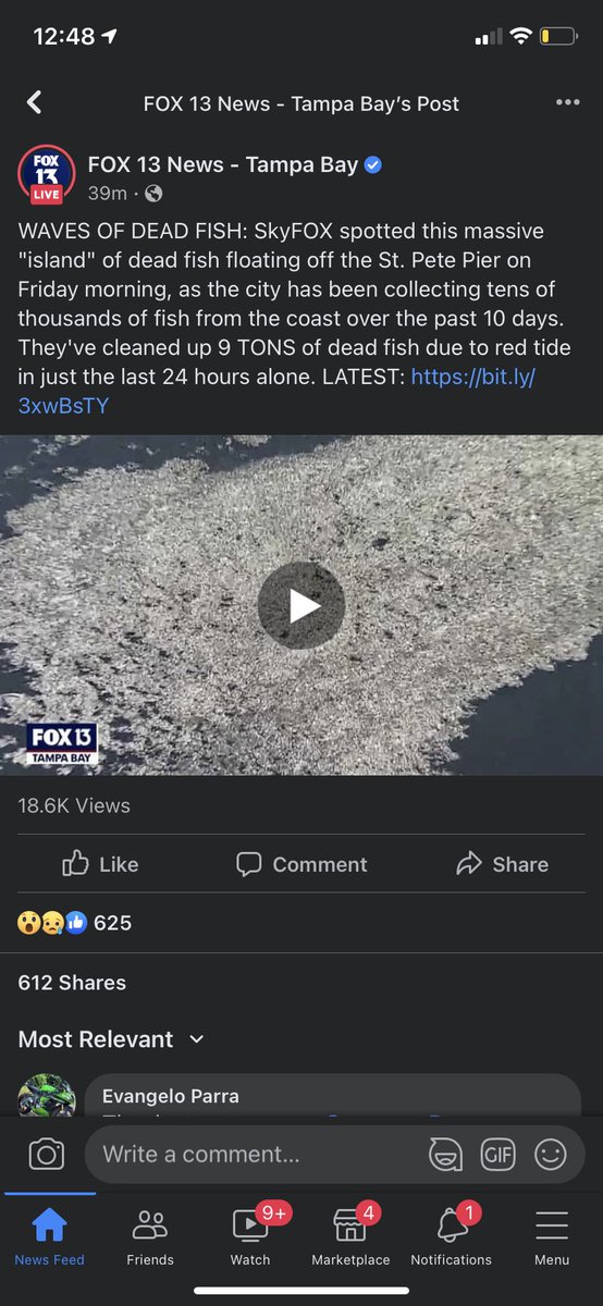 nfotoken's tweet image. We need your help in Florida