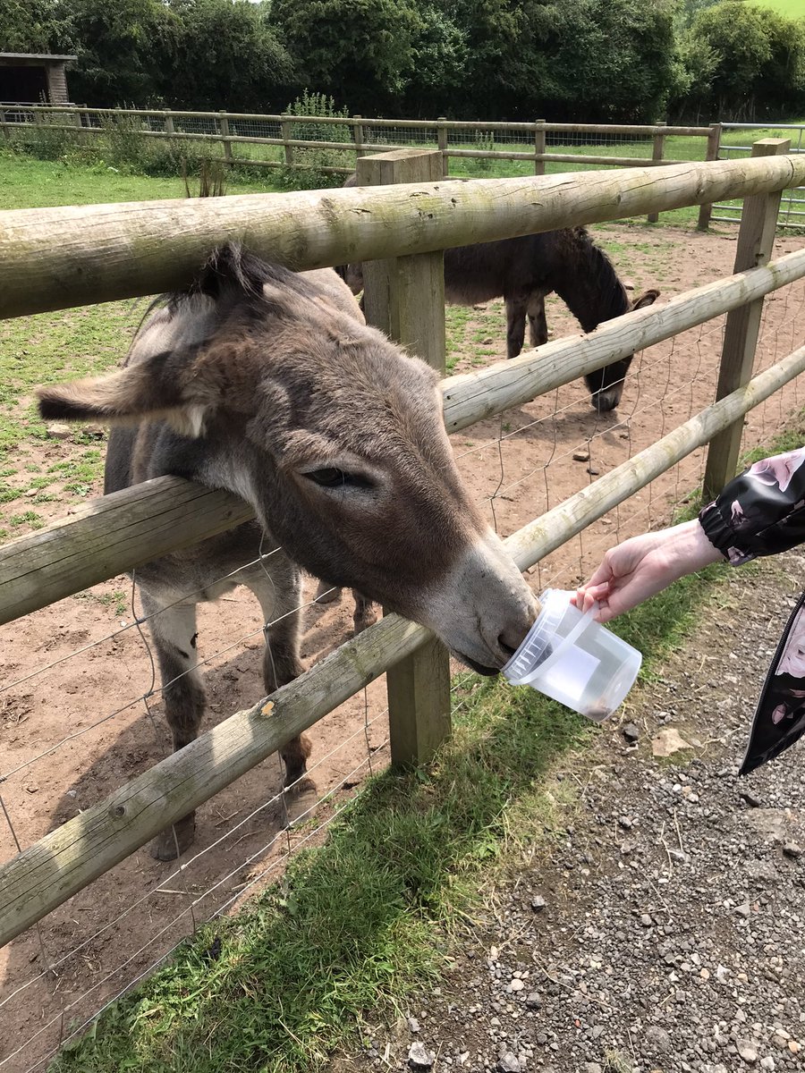 A busy Friday on <a href="/TwoRedwood/">Redwood 2</a> with Positive Thinking in the morning &amp; a trip to Flora Lands Farm Park this afternoon. A lovely few hours of fresh air, feeding cute furry things, making plans and goals for next week &amp; future planning💙💚 <a href="/NottsHealthcare/">Nottinghamshire Healthcare</a> #OT #FridayFeeling