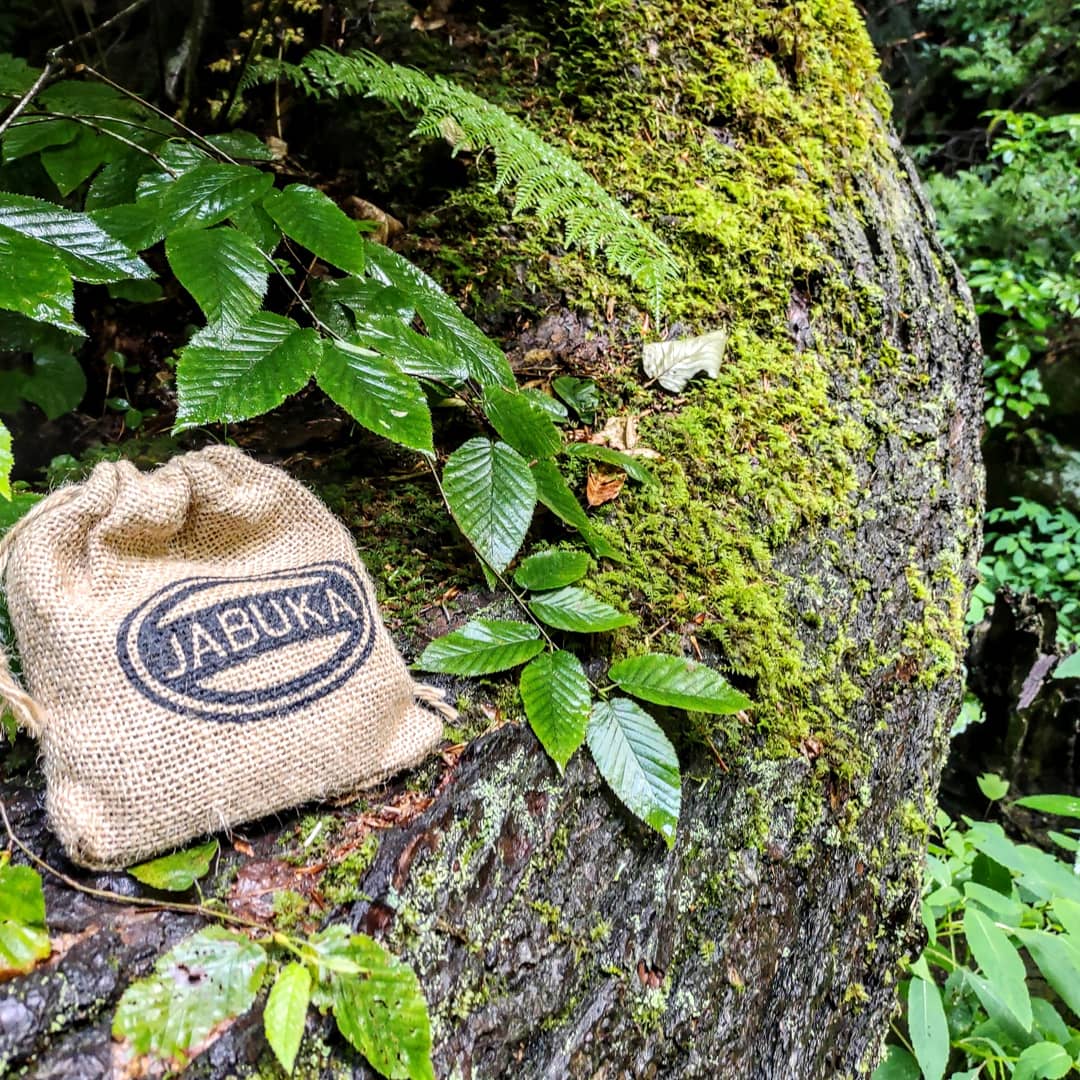 Everyone and their Grandmother Games tweet media